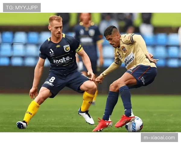 墨尔本联与珀斯野猫历史交锋激烈，分差微小